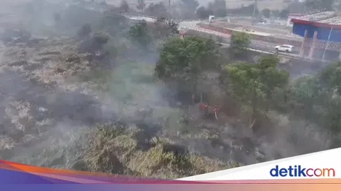 OKI Catat 286 Hotspot dalam Pantauan Sumsel yang Turun ke 579 Titik