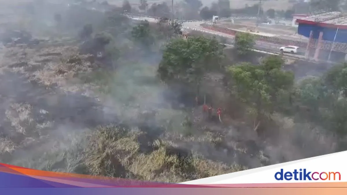OKI Catat 286 Hotspot dalam Pantauan Sumsel yang Turun ke 579 Titik