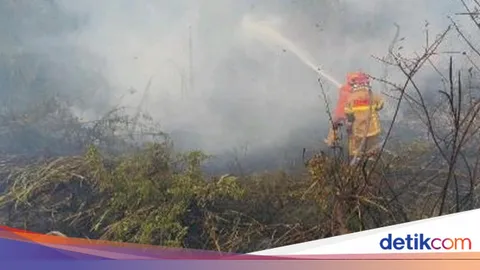Karhutla Sumsel Ditangani di Sejumlah Kabupaten, OKI Masih Dominan